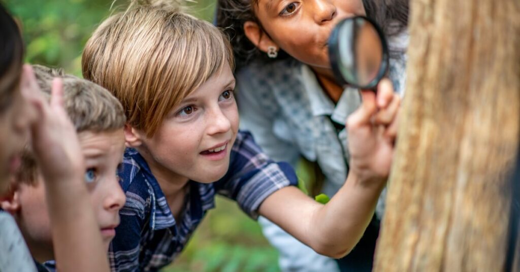 Forest School: A Complete Guide to Outdoor Learning
